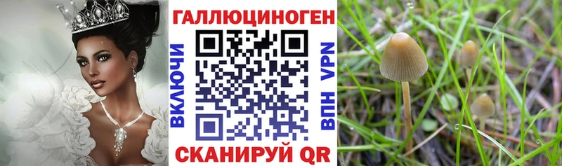 Галлюциногенные грибы MAGIC MUSHROOMS Ахтубинск